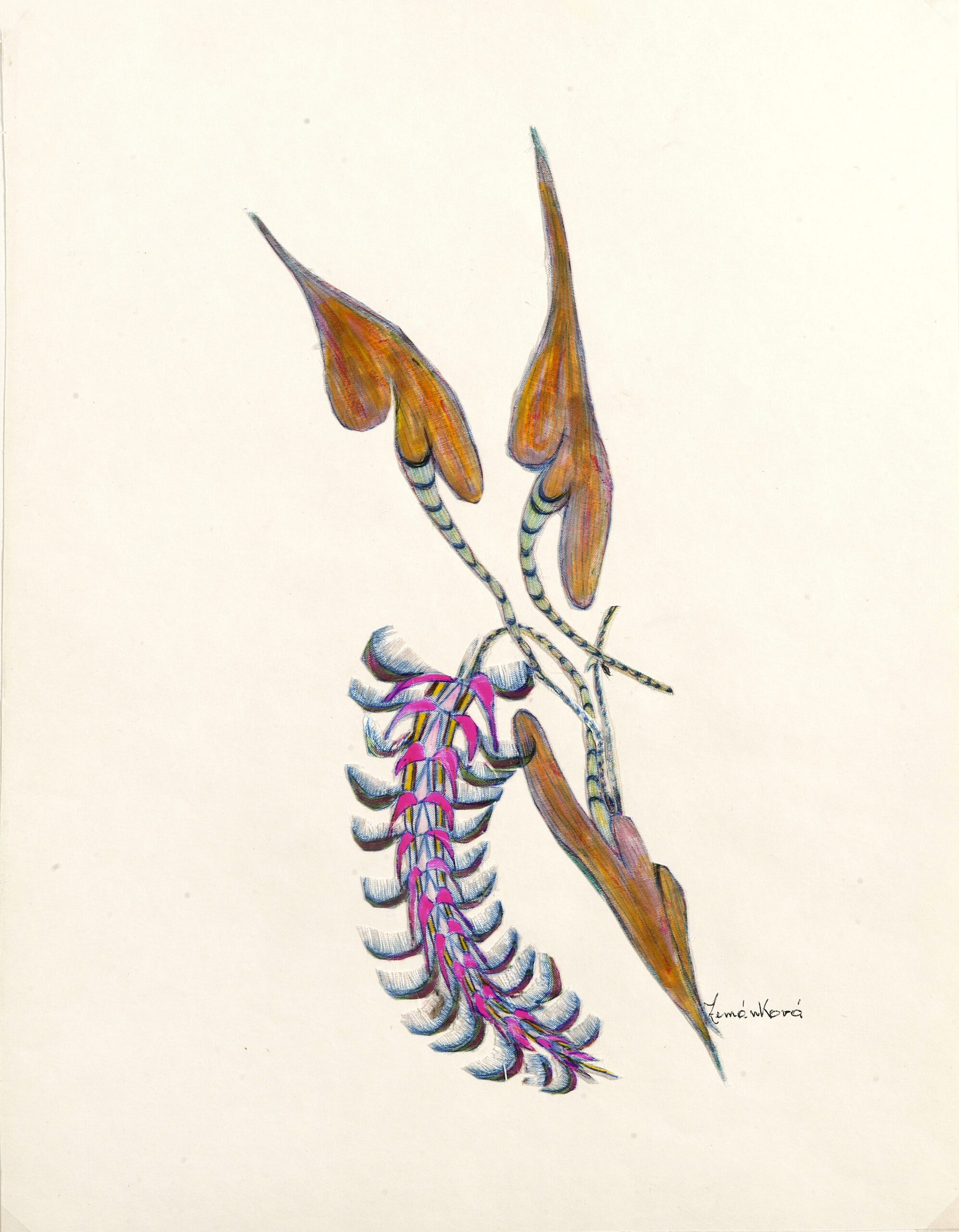 Anna Zemankova, Sans titre, 1970